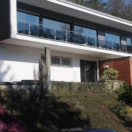 Grosszuegiges Zimmer Mit Terrasse Am Rheinsteig Linz am Rhein Kültér fotó