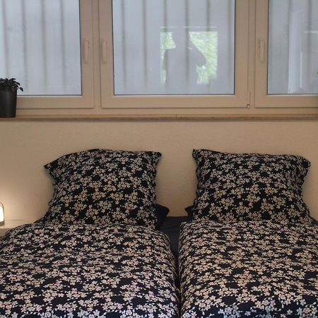 Grosszuegiges Zimmer Mit Terrasse Am Rheinsteig Linz am Rhein Kültér fotó