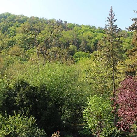 Grosszuegiges Zimmer Mit Terrasse Am Rheinsteig Linz am Rhein Kültér fotó